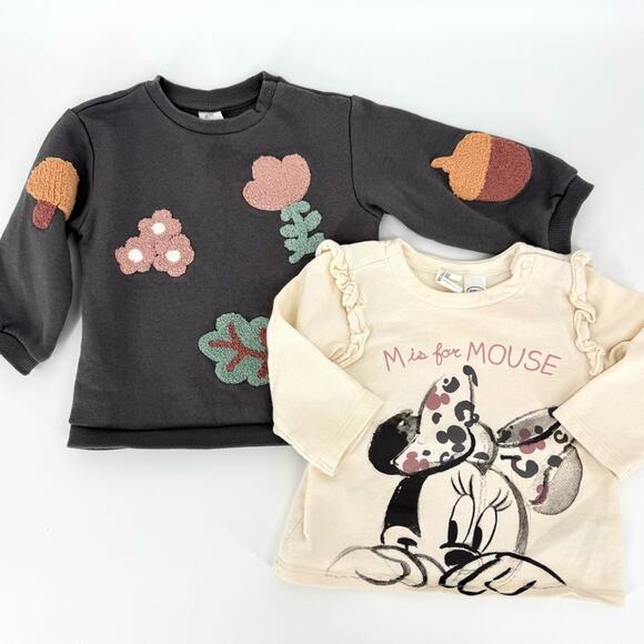 Lot 2 H&M Baby Girl Sweatshirts Tops Mushroom Minnie Size‎ 12 Months - Picture 1 of 9